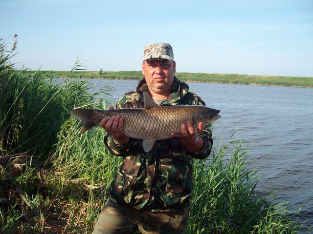 capturi - SANY0868.JPG